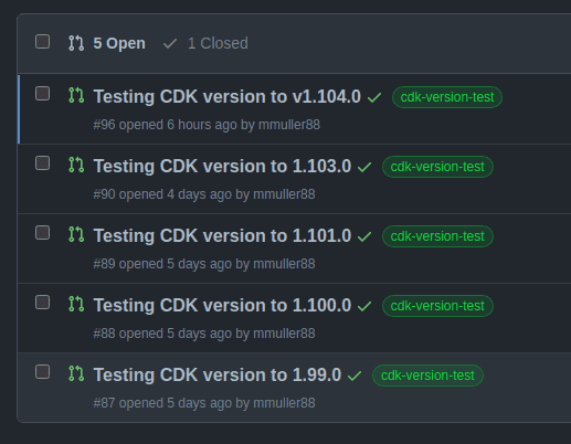 AWS CDK Custom Construct Versions Checker