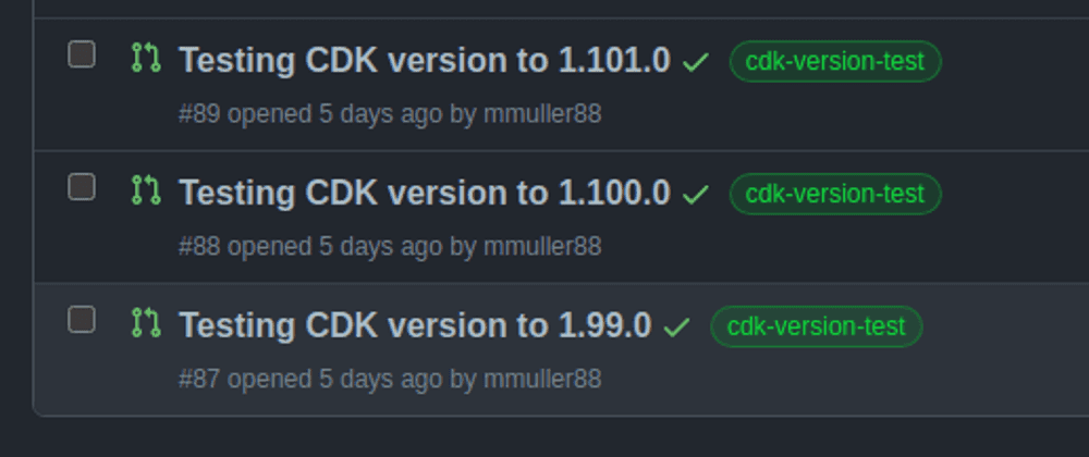 AWS CDK Custom Construct Versions Checker